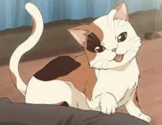 animedoqj3fxnevs= cat