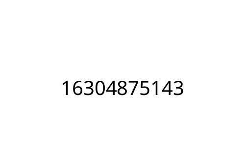 16304875143
