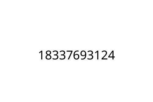 18337693124