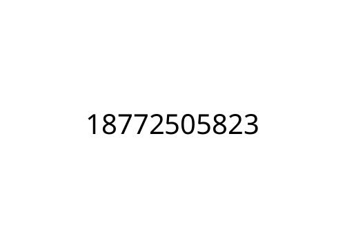 18772505823