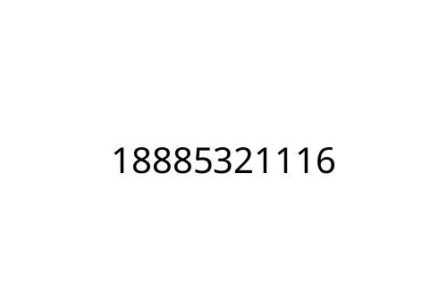 18885321116