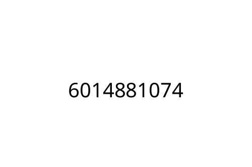 6014881074