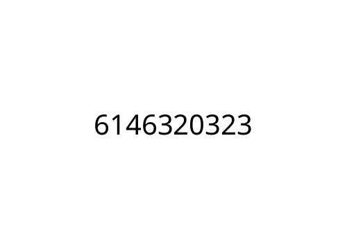 6146320323