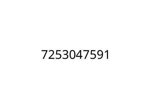 7253047591