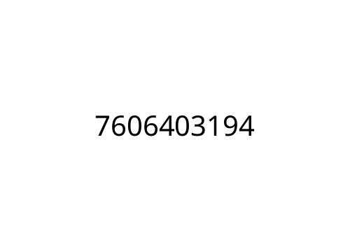 7606403194