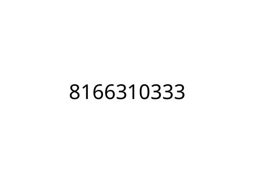 8166310333
