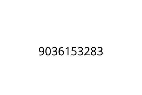 9036153283