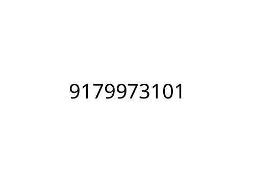 9179973101