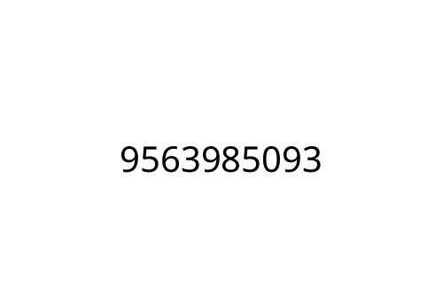 9563985093