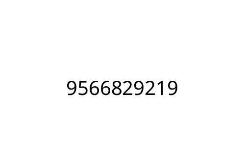 9566829219