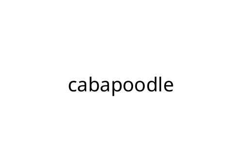 cabapoodle
