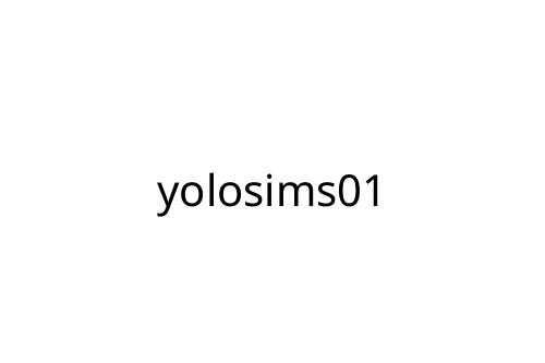 yolosims01