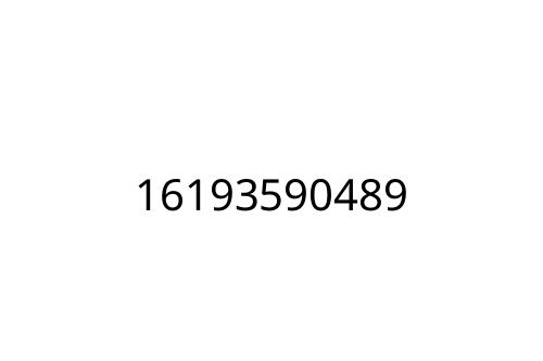 16193590489