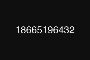 18665196432