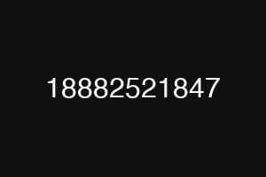 18882521847