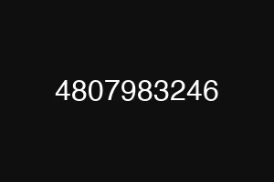 4807983246