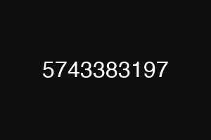 5743383197