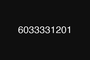 6033331201