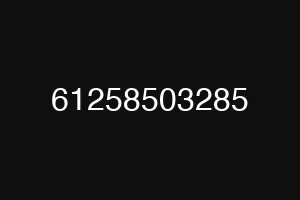 61258503285
