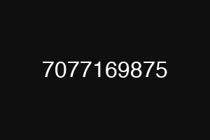 7077169875