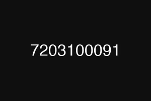 7203100091