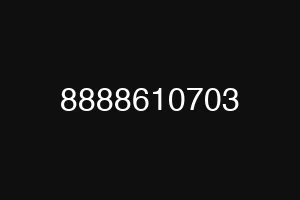 8888610703