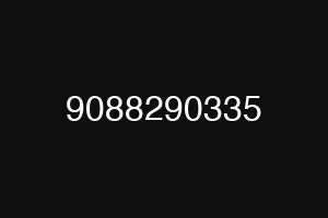 9088290335