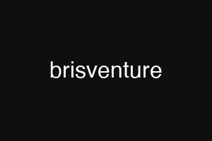 brisventure
