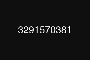 3291570381