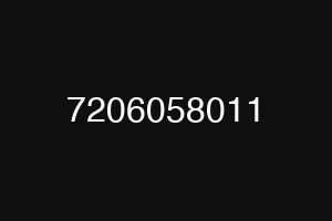 7206058011