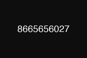 8665656027
