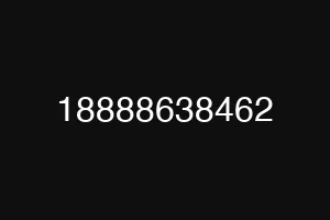 18888638462