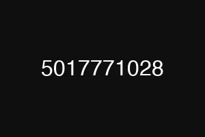 5017771028