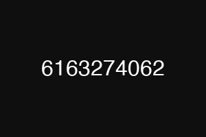6163274062