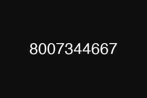 8007344667