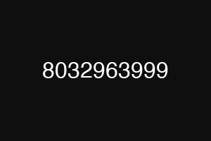 8032963999