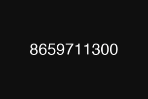 8659711300