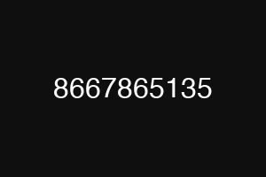 8667865135