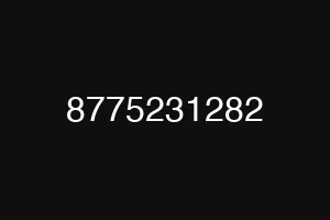 8775231282