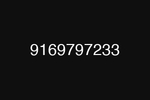 9169797233