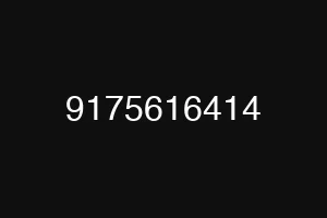 9175616414